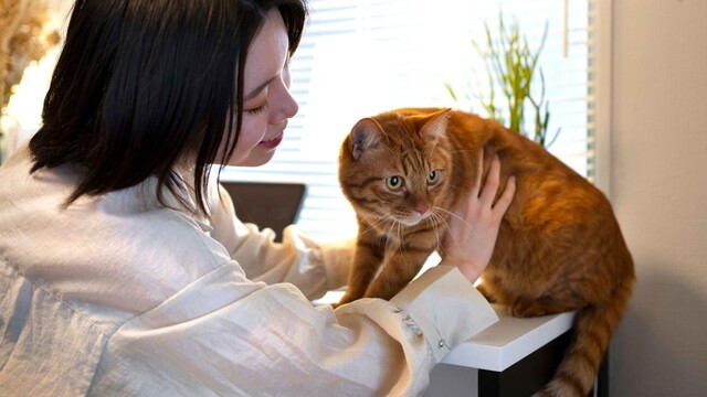 kepribadian hewan peliharaan