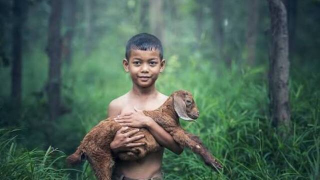 Manfaat Memelihara Hewan bagi Kesehatan Fisik dan Mental